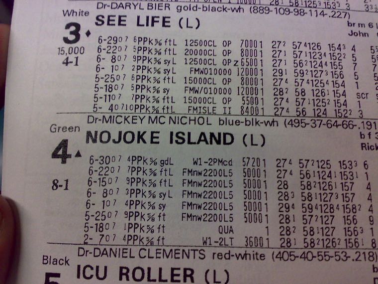 Betting slip at a horse race