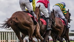 Horses in National Hunt Race