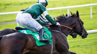 Jockey with Green Silks During Race