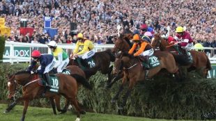 Aintree Grand National hurdle