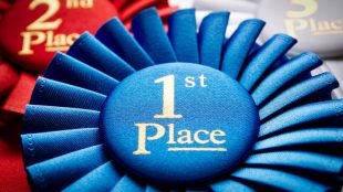1st, 2nd, and 3rd Place Rosettes