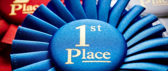 1st, 2nd, and 3rd Place Rosettes