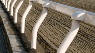 All Weather Racecourse Rail