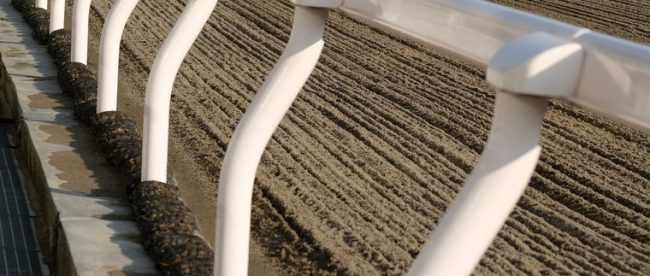 All Weather Racecourse Rail