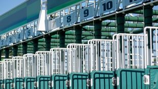 Numbered Horse Race Start Gate in Sunshine