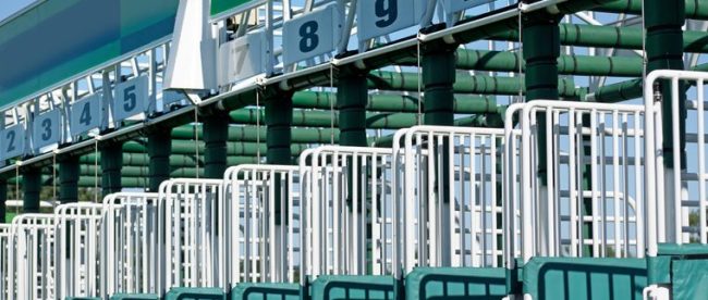 Numbered Horse Race Start Gate in Sunshine