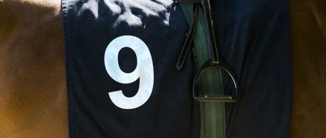 Horse with Number 9 Saddle cloth 760px Horse with Number 9 Saddle Cloth