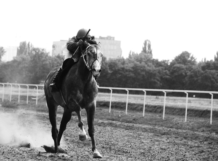 Black and white female horse rider