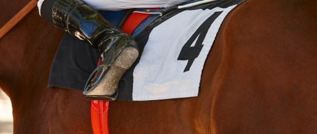Chestnut Horse Number 4 760px Chestnut Horse Number 4