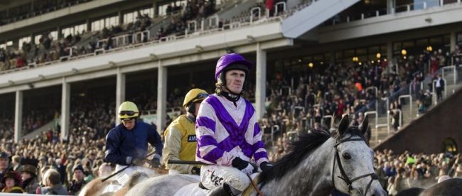 AP McCoy at Cheltenham Racecourse AP McCoy at Cheltenham Racecourse